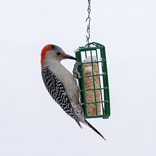 C&S Berry Delight No Melt Suet Dough 11.75 Ounces, 12 Pack