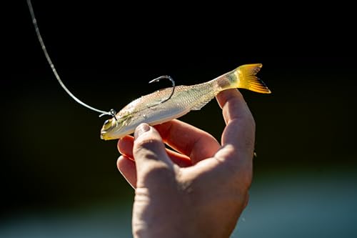 6th Sense Panorama Soft Plastic Lure – Realistic Forage Imitation, Versatile Rigging, Fluid Movement, Premium Paint Schemes