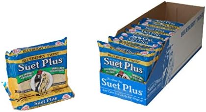 Suet Plus Suet Cakes 12 Pack of 11 oz Bird Suet Cakes (Blueberry Twist)