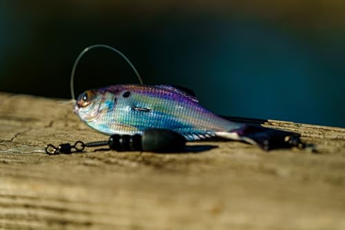 6th Sense Panorama Soft Plastic Lure – Realistic Forage Imitation, Versatile Rigging, Fluid Movement, Premium Paint Schemes
