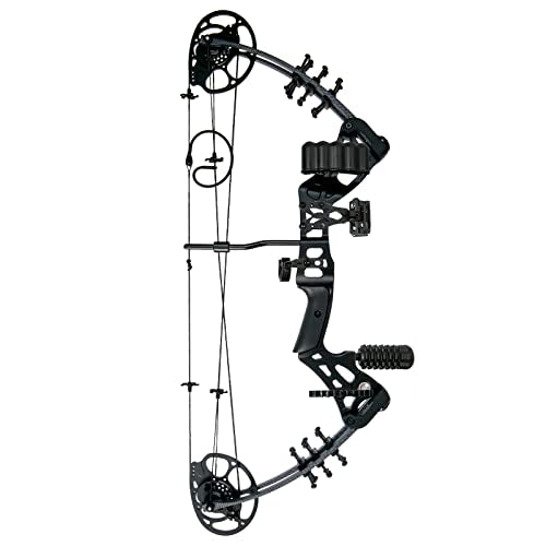 WUXLISTY Youth Compound Bow Set 15-45 Lbs for Teens and Beginner, Package with Archery Hunting Equipment, 5 Pin Sight, Max Speed 320fps, Adjustable, Right Hand, Black