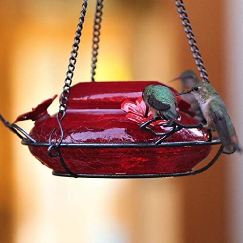 Nature's Way Bird Products MHF4 Hand Blown Garden Top Fill Hummingbird Feeder, 16 oz Capacity, Red