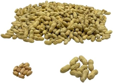 Premium Quality Raw Peanuts in Shell - 10 Pounds – All-Natural Food for Squirrels, Deer, Birds, and Other Wildlife Animals – Grown in The USA for Healthy Nutrition