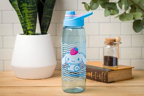 Silver Buffalo Sanrio Hello Kitty and Friends Cinnamoroll with Strawberry Water Bottle with Screw Lid, 28 Ounces