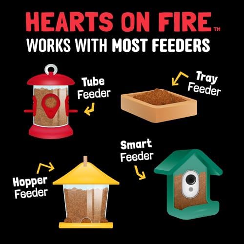 Hearts on Fire Hot Bird Seed – 10 lb. 100% Hulled Sunflower Hearts with Chili Pepper Oil – No Waste Bird Seed for Outside Feeders