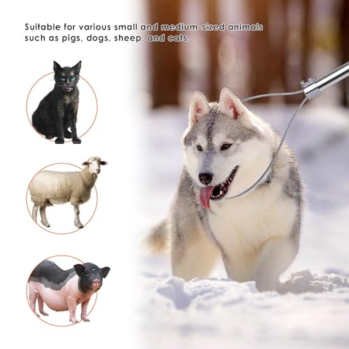 Dog Catcher Pole Animal Control Pole Stainless Steel Pig Holder Catcher Cat Catcher Pole Heavy Duty Catch Pole for Animals Cats Hogs Pigs and Small/Medium Dogs, Rod Length 30 inches