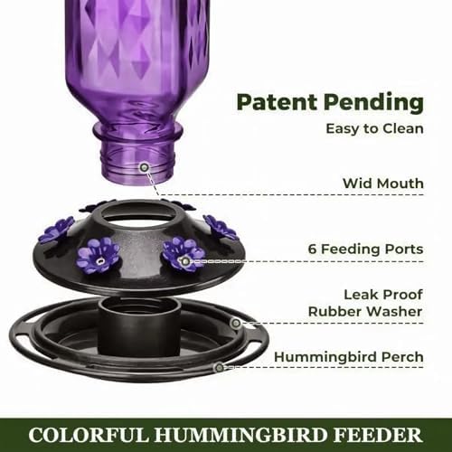 Glass Hummingbird Feeder Hanging Hummingbird Feeders for Outdoors Leak Proof Base Feeder with Ant Moat Bee Proof 6 Feeding Ports for Outside Garden Decor Backyard Gifts for Women Mom (Purple)