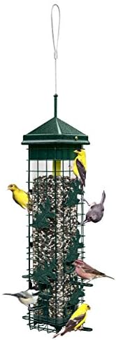 Squirrel Solution200 Squirrel-proof Bird Feeder w/6 Feeding Ports, 3.4-pound Seed Capacity, Free Seed Funnel