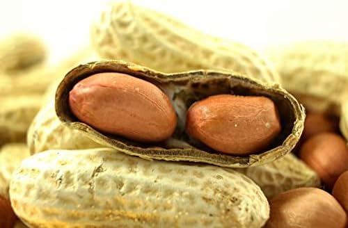 Wakefield Extra Large Virginia Peanuts for Animals, 25 LBS