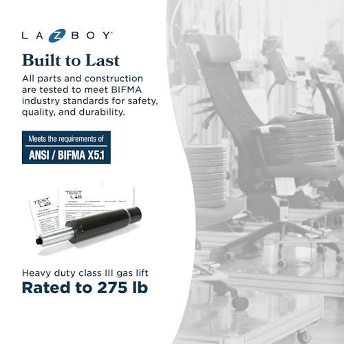 La-Z-Boy Sutherland Ergonomic Bonded Leather Swivel Computer and Desk Chair, Ivory (CHR10048C)