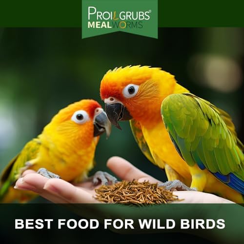 PROILGRUBS 2 LBS Dried Mealworms Super High Protein Nutritious Feed for Birds &Chickens - Organic Meal Worms for Laying Hens,Duck,Fish,Turtle,Reptil…