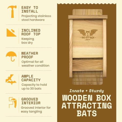 BIGBATBOX - Complete Bat House for Outdoors - Clean Backyard from Mosquitoes - No Interior Paint - One-Chamber Design - Easy to Hang - Bat Houses for Outdoors