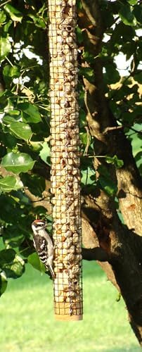 Backyard Birds Unlimited Cedar Whole in-Shell Peanut Outdoor Hanging Wild Bird Feeder Made in The USA-Large