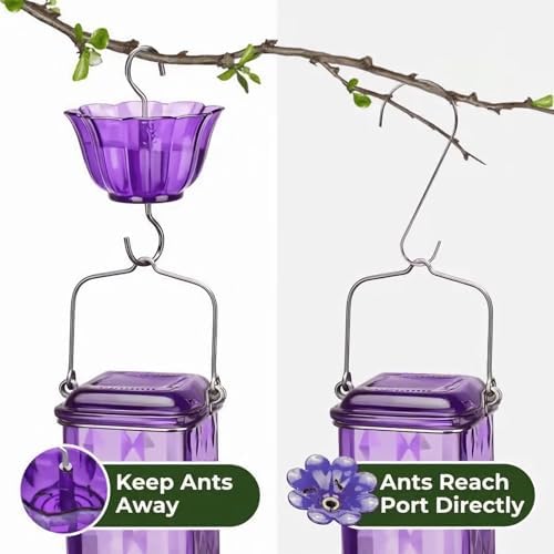 Glass Hummingbird Feeder Hanging Hummingbird Feeders for Outdoors Leak Proof Base Feeder with Ant Moat Bee Proof 6 Feeding Ports for Outside Garden Decor Backyard Gifts for Women Mom (Purple)