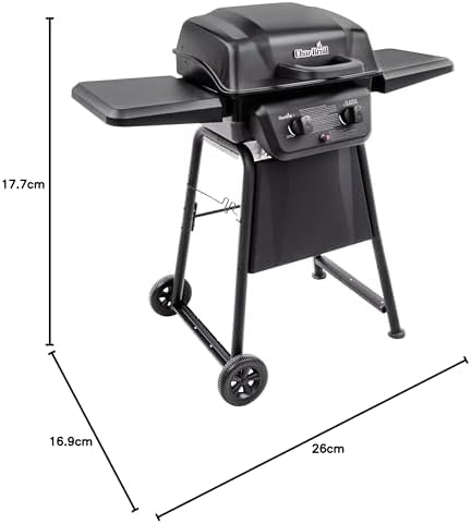 American Gourmet by Char-Broil Classic Series Convective 2-Burner Propane Stainless Steel Gas Grill - 463672717
