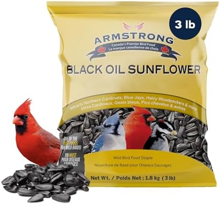 Armstrong Wild Bird Food Black Oil Sunflower Bird Seed, 3 Pounds - for Northern Cardinals, Blue Jays and Hairy Woodpeckers - Ideal for Outside Feeders