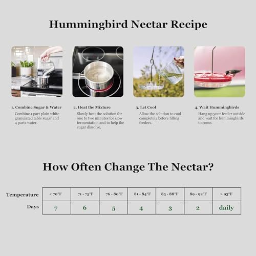 Hummingbird Feeders for Outdoors Hanging (2 Pack) 25 Feeding Ports 10 oz, Plastic Hummzinger Hummingbird Feeder, Bee-Proof Leak-Proof No Drip, Easy to Clean with Cleaning Brushes
