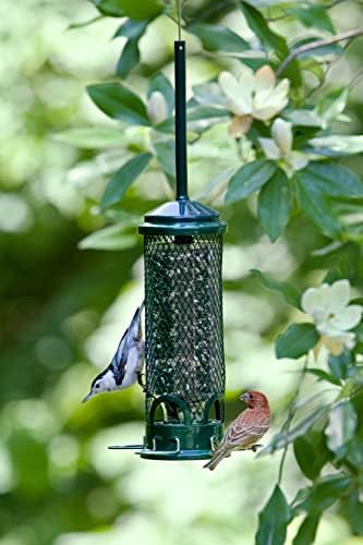 Squirrel Buster Mini Squirrel-Proof Bird Feeder for Wild Birds – 4 Metal Perches, 1 lb Seed Capacity, Chew-Proof Design, Lifetime Care, Garden Green
