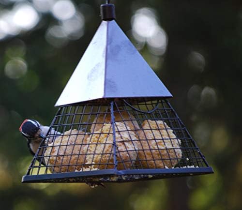 Wildlife Sciences Suet Balls 24 Pack, 6 Individually Wrapped Packs of 4 Bird Suet Balls (Insect and Nuts)
