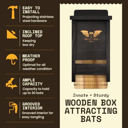 Complete Outdoor Bat House & Box - Single-Chamber - Deters Mosquitoes - No Interior Paint - Easy to Hang