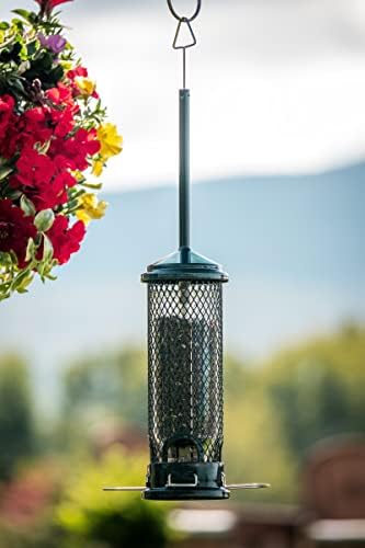 Squirrel Buster Mini Squirrel-Proof Bird Feeder for Wild Birds – 4 Metal Perches, 1 lb Seed Capacity, Chew-Proof Design, Lifetime Care, Garden Green