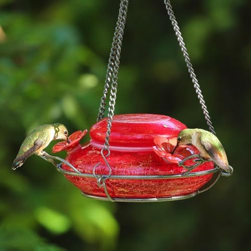 Nature's Way Bird Products MHF4 Hand Blown Garden Top Fill Hummingbird Feeder, 16 oz Capacity, Red