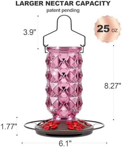 2 Pack Glass Hummingbird Feeders for Outdoors, 25 Ounces Wild Bird Nectar Feeder with Perch & 5 Flower Feeding Ports Leak Proof Hanging for Garden Backyard Decor, Gifts for Women Mom, Red & Pink