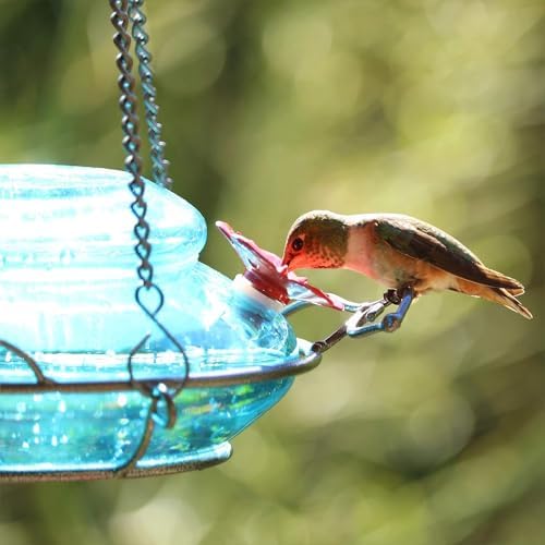Nature's Way Bird Products GHF9 Hand Blown Garden Top Fill Hummingbird Feeder, 16 oz Capacity, Blue (066580)
