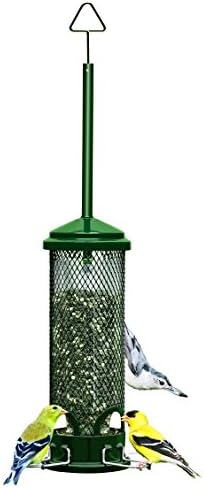 Squirrel Buster Mini Squirrel-Proof Bird Feeder for Wild Birds – 4 Metal Perches, 1 lb Seed Capacity, Chew-Proof Design, Lifetime Care, Garden Green