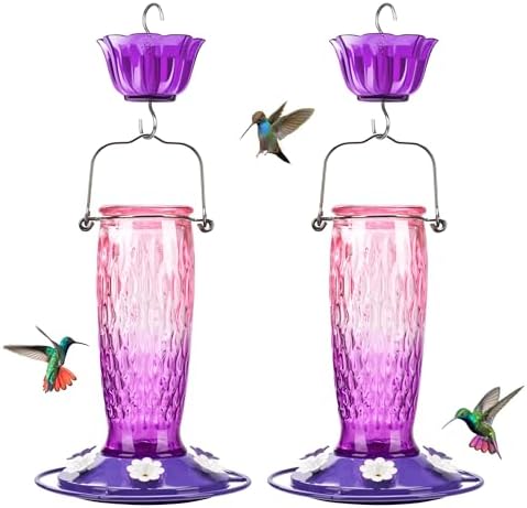 Kingsyard 2 Pack Glass Hummingbird Feeders for Outdoors Hanging, Wild Bird Nectar Feeder with 6 Feeding Ports, 24 oz Leak-Proof, Pink & Purple (Ant Moat Included)