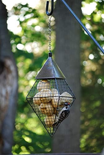 Wildlife Sciences Suet Balls 24 Pack, 6 Individually Wrapped Packs of 4 Bird Suet Balls (Insect and Nuts)