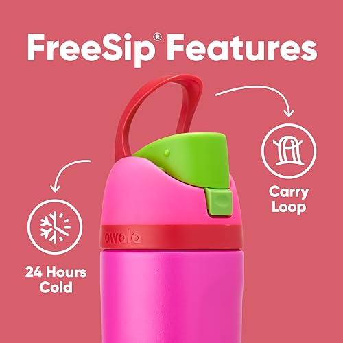 Owala FreeSip Insulated Stainless Steel Water Bottle with Straw for Sports and Travel, BPA-Free, 24oz, Foggy Tide