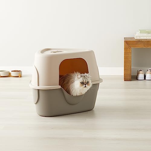 Amazon Basics Cat Litter Box with Lid, No-Mess, Standard, unisex, Charcoal, 26 in x 23 in x 20 in