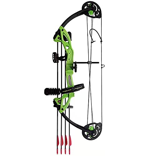 PANDARUS Compound Bow Archery for Youth and Beginner, Right/Left Handed,19”-28” Draw Length,15-29 Lbs Draw Weight, 260 fps, Package with Archery Hunting Equipment Carry Case(Green Right Handed Pro)