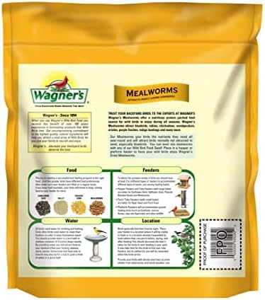Wagner's 58005 Mealworms Wild Bird Food, 18-Ounce Bag (Pack of 2)