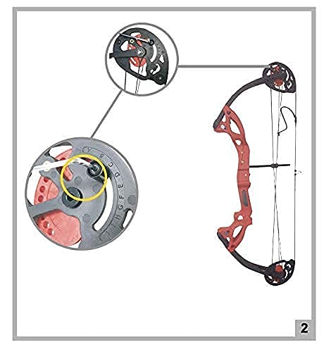 PANDARUS Compound Bow Archery for Youth and Beginner, Right/Left Handed,19”-28” Draw Length,15-29 Lbs Draw Weight, 260 fps, Package with Archery Hunting Equipment Carry Case(Green Right Handed Pro)