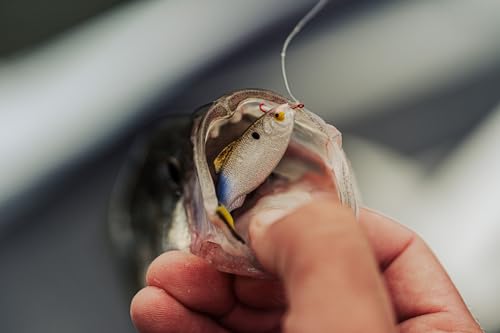 6th Sense Panorama Soft Plastic Lure – Realistic Forage Imitation, Versatile Rigging, Fluid Movement, Premium Paint Schemes