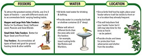 Wagner's 58005 Mealworms Wild Bird Food, 18-Ounce Bag (Pack of 2)