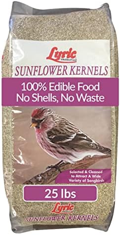 Lyric Sunflower Kernels Wild Bird Seed No Waste Bird Food Attracts Finches & More 25 lb. bag
