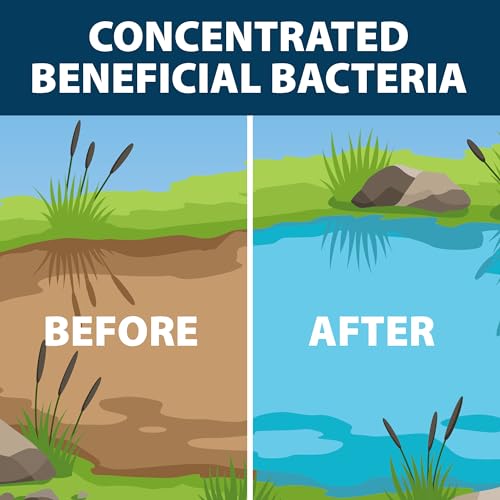 Airmax MuckAway Natural Beneficial Bacteria for Outdoor Ponds & Lakes, Muck, Sludge & Noxious Odor Solution, Easy to use Enzyme Tablets, Cleaner Beach & Shoreline, Fish, Pet & Wildlife Safe, 8 Scoops