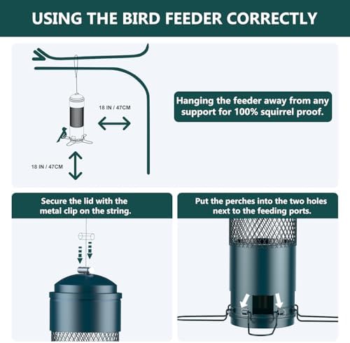 Bird Feeders for Outdoors Squirrel Proof with Weight-Activated Perches, Hanging Bird Feeder for Outside, Metal Feeder for Wild Cardinal, Finch, Blue Jay, Chickadee, 3LB Seed Capacity, Green