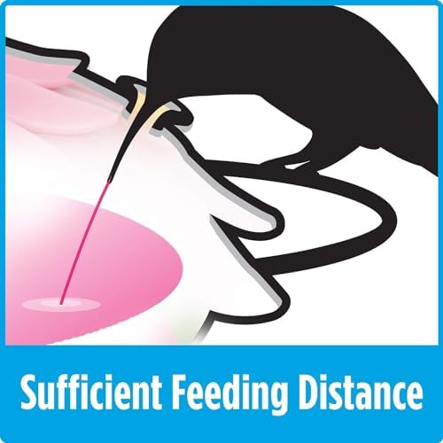 Nature's Way Bird Products MHF4 Hand Blown Garden Top Fill Hummingbird Feeder, 16 oz Capacity, Red