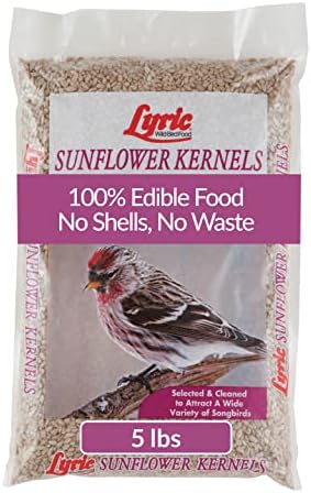 Lyric Sunflower Kernels Wild Bird Seed No Waste Bird Food Attracts Finches & More 5 lb. bag