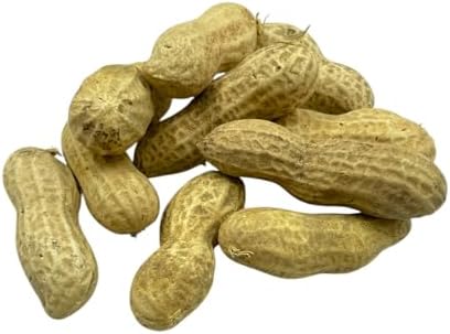 Premium Quality Raw Peanuts in Shell - 10 Pounds – All-Natural Food for Squirrels, Deer, Birds, and Other Wildlife Animals – Grown in The USA for Healthy Nutrition