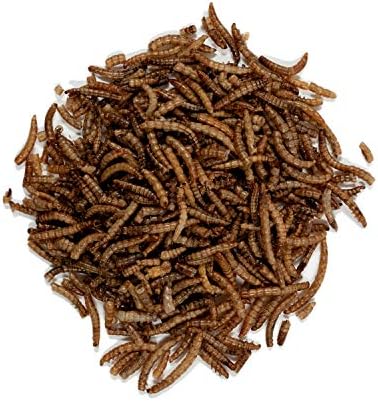 Wagner's 58005 Mealworms Wild Bird Food, 18-Ounce Bag (Pack of 2)