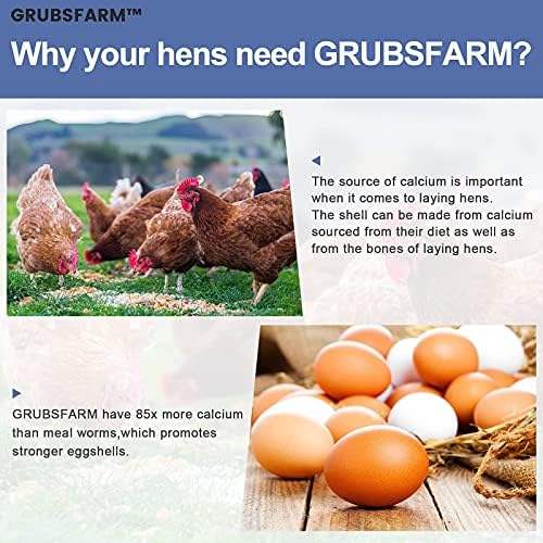 Superior to Dried Mealworms for Chickens 5lb - 85X More Calcium Than Mealworms - Non-GMO Chicken Feed - Molting Supplement - BSFL Treats for Hens, Ducks, Turkeys, Wild Birds, Quails