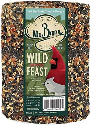 Mr. Bird Wild Bird Feast Birdseed Large Cylinder 4 lbs.