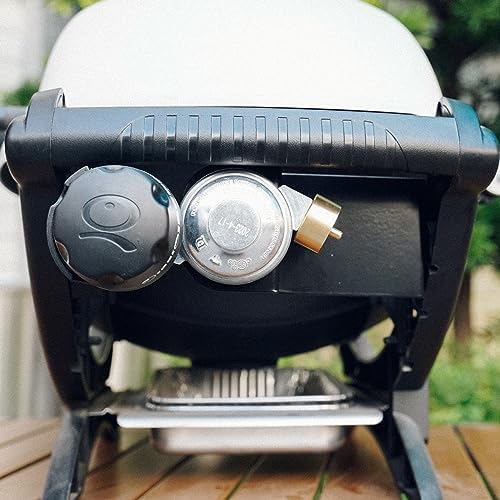 Skyflame Gas Grill Valve Regulator Assembly Compatible with Weber Q1000 Q1200 Series - Replacement Parts for Weber 64866
