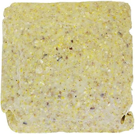 Suet Cake 12 Pack | Case of 12 Suet Cakes for Wild Birds (Woodpecker/Berry/High Energy/Peanut)