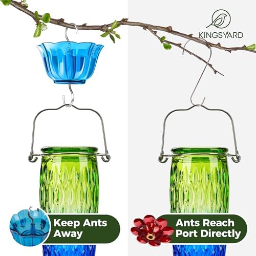 Kingsyard 2 Pack Glass Hummingbird Feeders for Outdoors Hanging, Wild Bird Nectar Feeder with 6 Feeding Ports, 24 oz Leak-Proof, Green & Blue (Ant Moat Included)